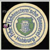 nabburglichtenstern (3).jpg